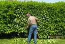 Service de jardinage agadir maroc